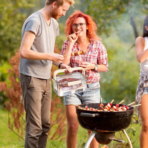 Cutie pentru depozitare alimente, de uz casnic, 2 compartimente, zona pentru gheata, mentinere fresh, cu maner, material pet, 23x15x10.8 cm, bej [6]