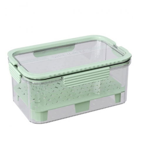 Recipiente pentru alimente de baza, gustari si cereale - Cutie pentru depozitare alimente, de uz casnic, 2 compartimente, zona pentru gheata, mentinere fresh, cu maner, material pet, 23x15x10.8 cm, verde