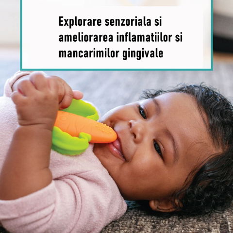 Jucarie dentitie bebelusi  morcov, 10x7.5x2.8 cm, cu manere de prindere, material silicon non-toxic, fara miros, portocaliu [5]