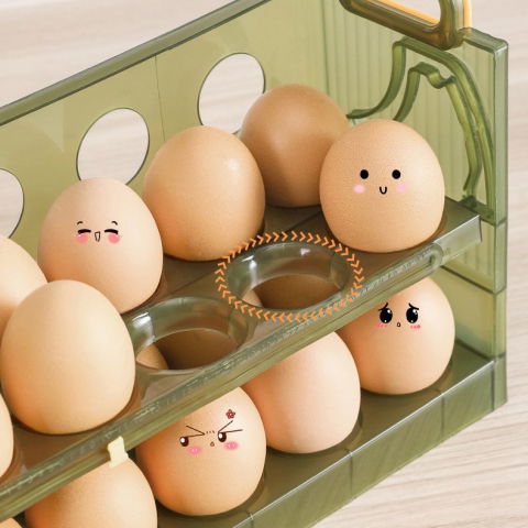 Suport - organizator pentru oua in frigider, pentru 20 de oua in 2 straturi, din plastic 25.5 x 10 x 17 cm, verde transparent [1]