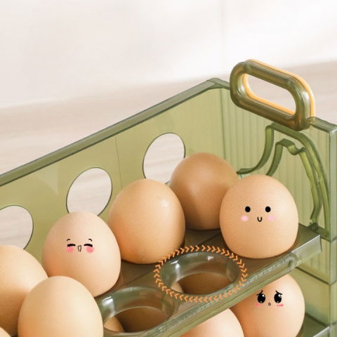Suport organizator pentru oua, pentru frigider, verde transparent, capacitate 20 oua, doua straturi, cu data de expirare, 25.5x10x17 cm [5]