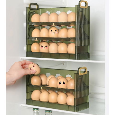 Suport organizator pentru oua, pentru frigider, verde transparent, capacitate 20 oua, doua straturi, cu data de expirare, 25.5x10x17 cm [4]