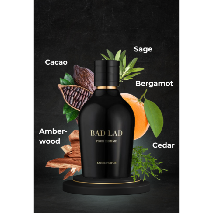 Bad Lad Pour Homme 100ml - Apa de Parfum, barbati [5]
