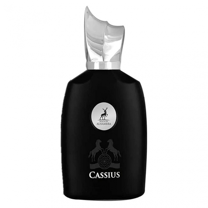 Cassius 100ml - Apa de Parfum, barbati [1]