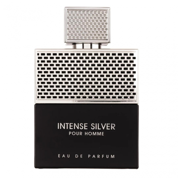 Intense Silver Pour Homme 100ml - Apa de Parfum, barbati [1]