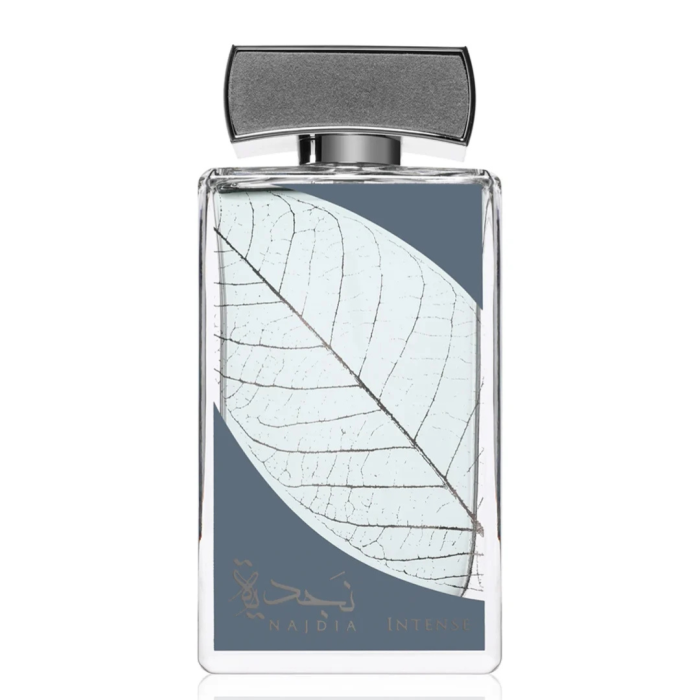 Najdia Intense 100ml - Apa de Parfum, barbati [2]