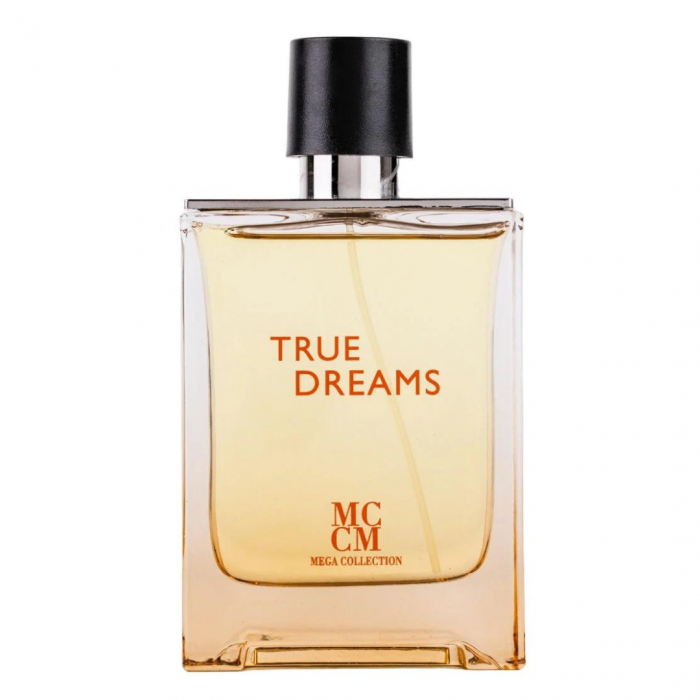 True Dreams 100ml - Apa de Parfum, barbati [1]