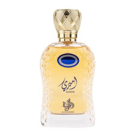 Ameeri 100ml - Apa de Parfum, barbati [4]