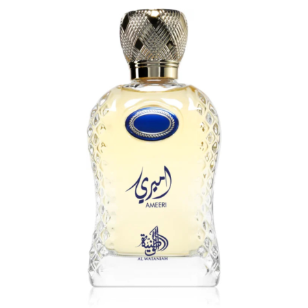 Ameeri 100ml - Apa de Parfum, barbati [0]