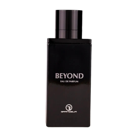 Parfumuri de iarna - Beyond 100ml - Apa de Parfum, barbati