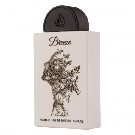Breeze 100ml - Apa de Parfum, unisex [2]