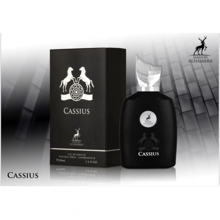 Cassius 100ml - Apa de Parfum, barbati [2]