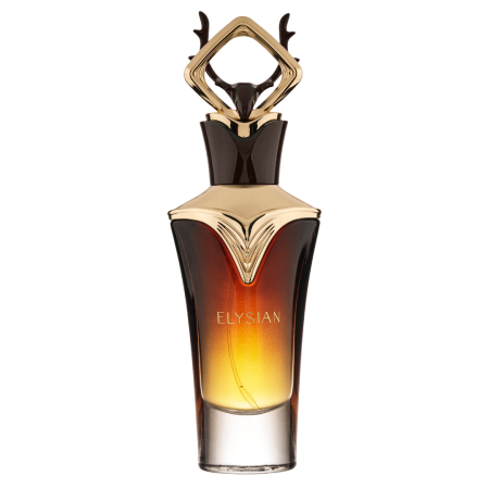 Elysian 80ml - Apa de Parfum, barbati [0]