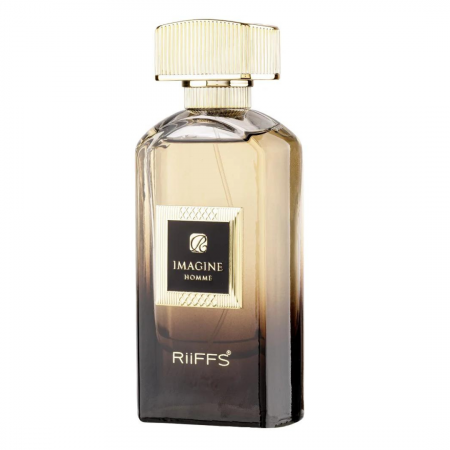Imagine Noire 100ml - Extract de Parfum, barbati [1]