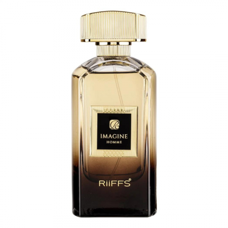 Imagine Noire 100ml - Extract de Parfum, barbati [0]