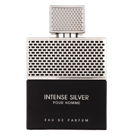 Parfumuri Vanilate - Intense Silver Pour Homme 100ml - Apa de Parfum, barbati