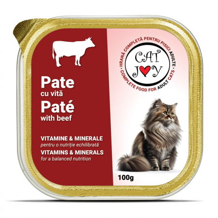 Pisici - CAT JOY PATE VITA 100G