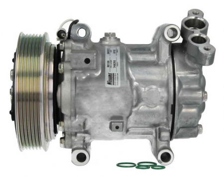 Compresor clima Ac - Compresor AC clima RENAULT CLIO II, KANGOO, KANGOO EXPRESS, MEGANE I, MEGANE I CLASSIC, MEGANE I COACH, MEGANE SCENIC, SCENIC I, THALIA I 1.9Ddupa 1996