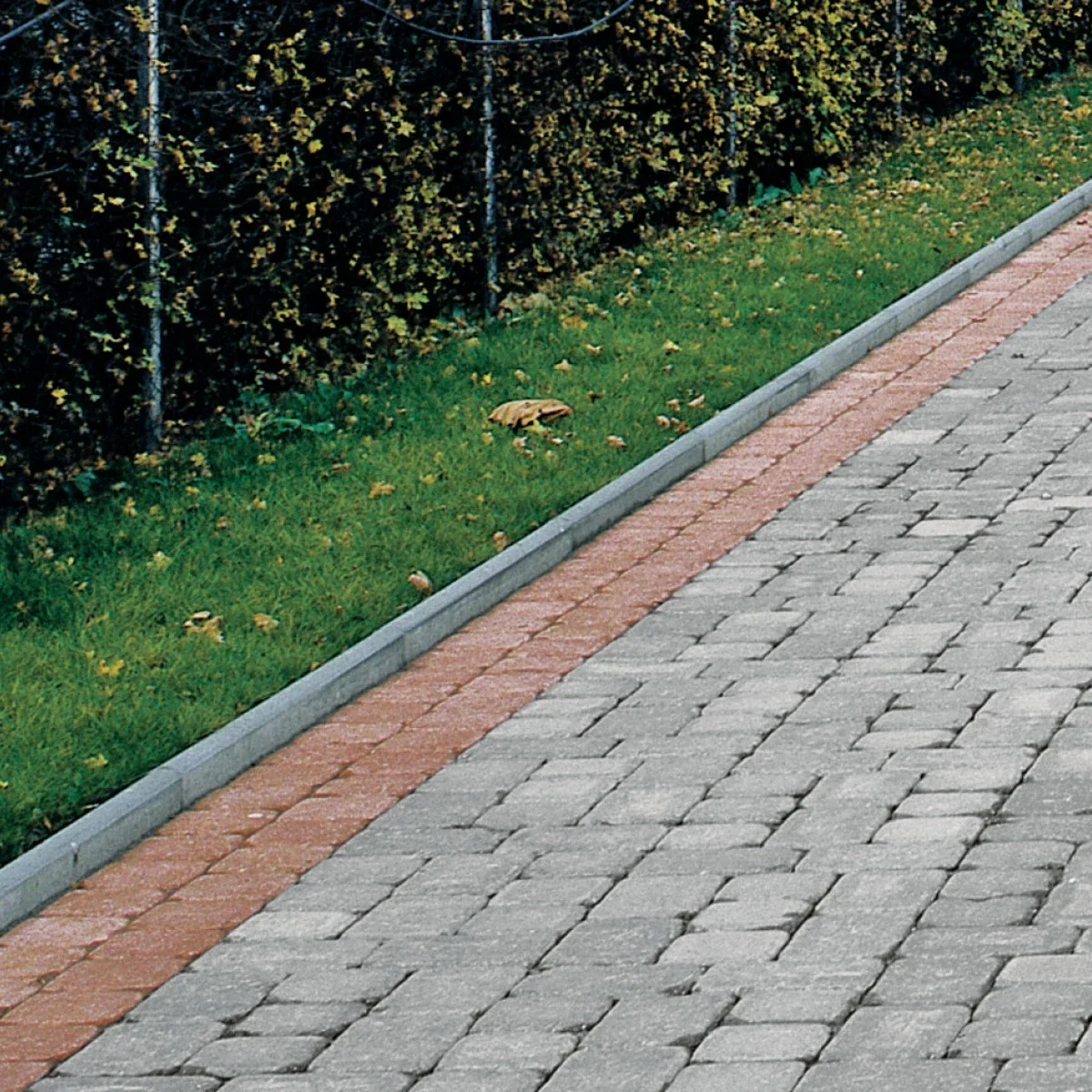Bordură Semmelrock Gri 100×5×20 cm | PT Vest [1]