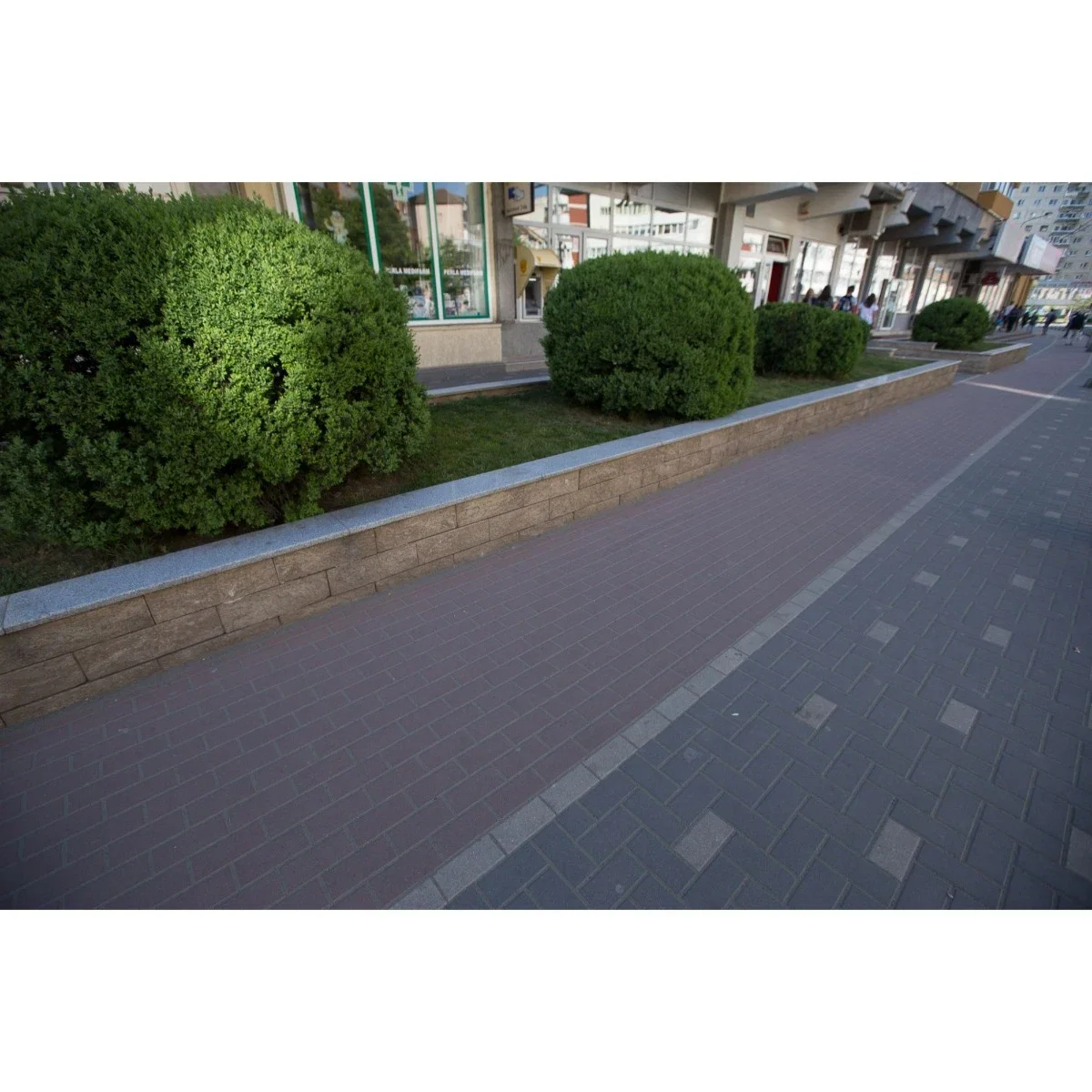 Pavaj Elis Dreptunghi D1 Roșu 20×10×4 cm | PT Vest [4]
