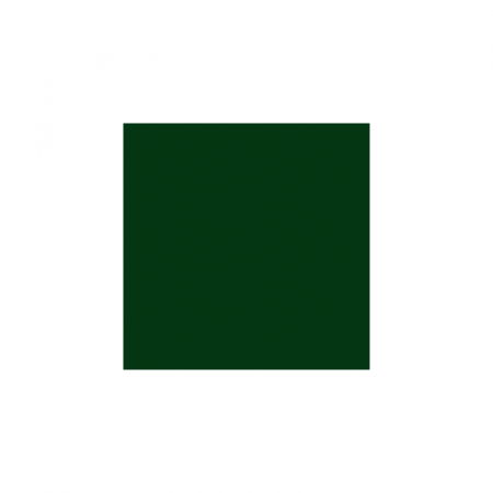 Spray vopsea Profesional CHAMPION 400ml Verde Mat Cod: RAL 6005 [3]