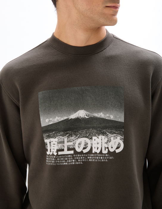 Celio Свитшот Carbone  [4]