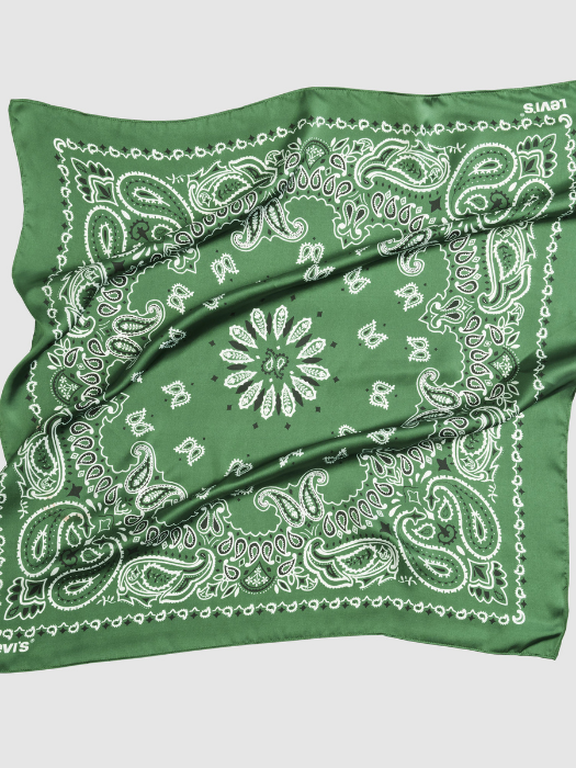 Levi's Мужской Шарф Зелёный  [3]