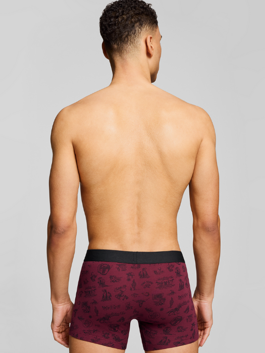 Levi's Набор Нижнего Белья Red Combo  [6]