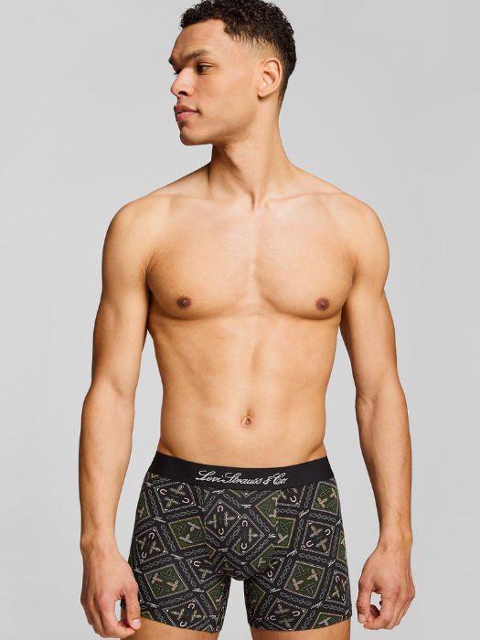 Levi's Набор Нижнего Белья Green Combo  [3]