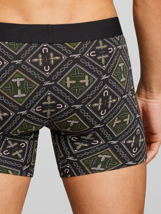 Levi's Набор Нижнего Белья Green Combo  [9]