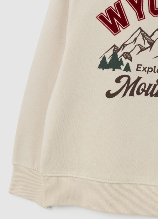 OVS Kids Bluza Cu Fleece Bej Baieti 3-10 Ani [4]