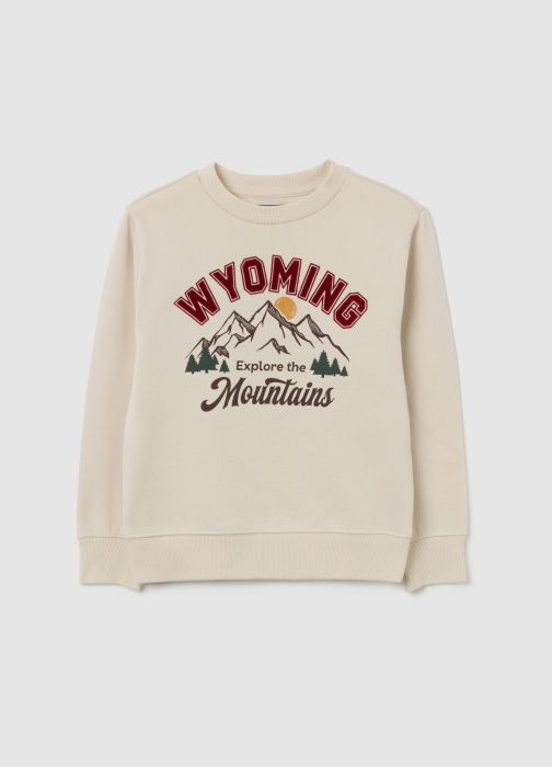 OVS Kids Bluza Cu Fleece Bej Baieti 3-10 Ani [1]