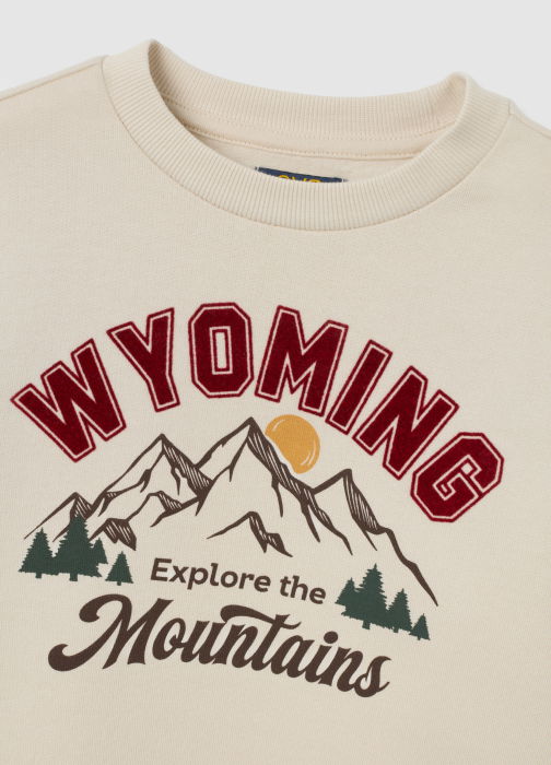 OVS Kids Bluza Cu Fleece Bej Baieti 3-10 Ani [3]