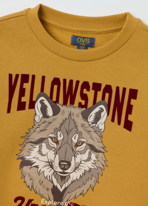 OVS Kids Свитшот Для Мальчиков Honey Mustard 3-10 Лет [3]