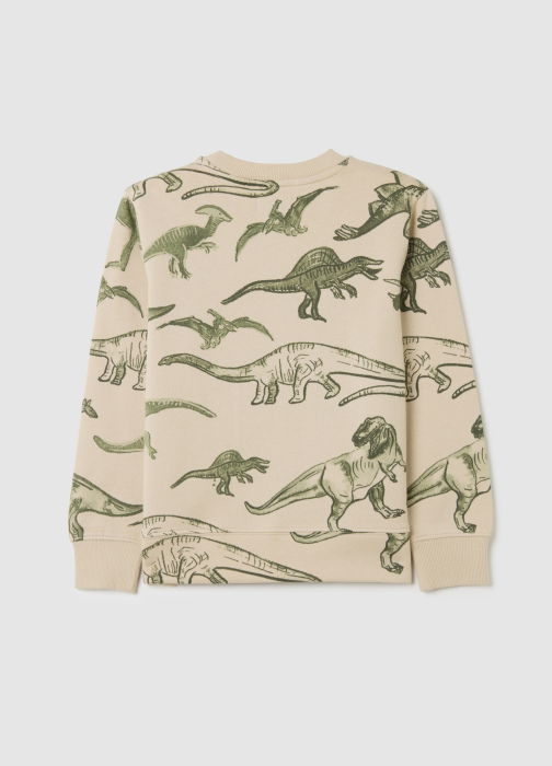 OVS Kids Свитшот С Флисом Для Мальчиков Peyote 3-10 Лет [2]