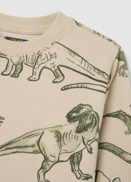 OVS Kids Свитшот С Флисом Для Мальчиков Peyote 3-10 Лет [3]