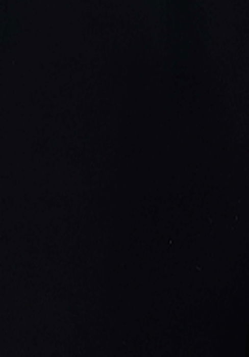 Женские Брюки Чёрные Regular [7]