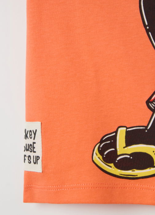 Polo Camellia Baieti 9-36 Luni [4]