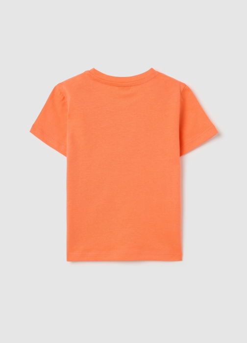 Polo Camellia Baieti 9-36 Luni [2]