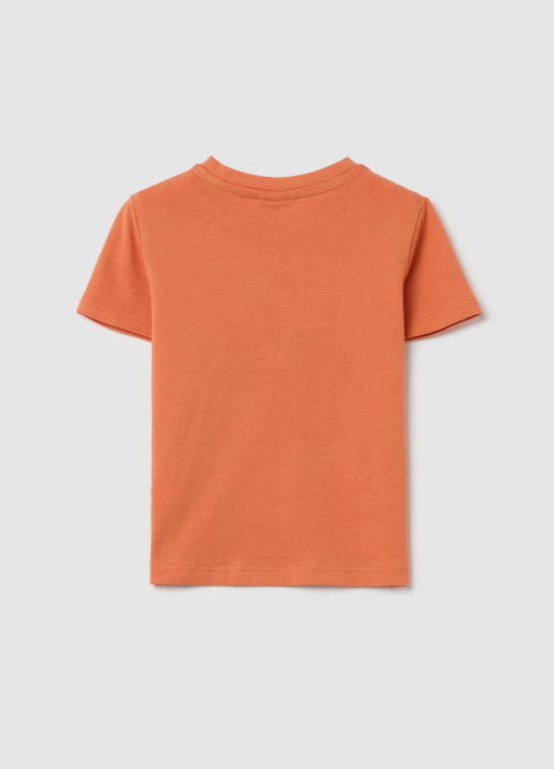 Polo Dusted Clay Baieti 9-36 Luni [2]