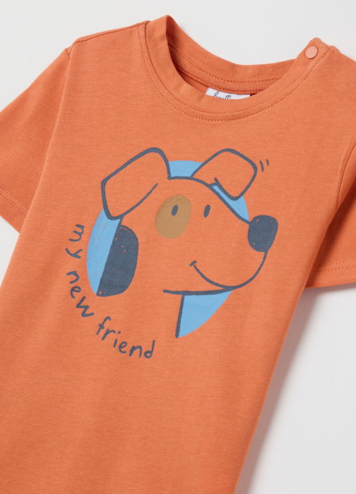 Polo Dusted Clay Baieti 9-36 Luni [3]