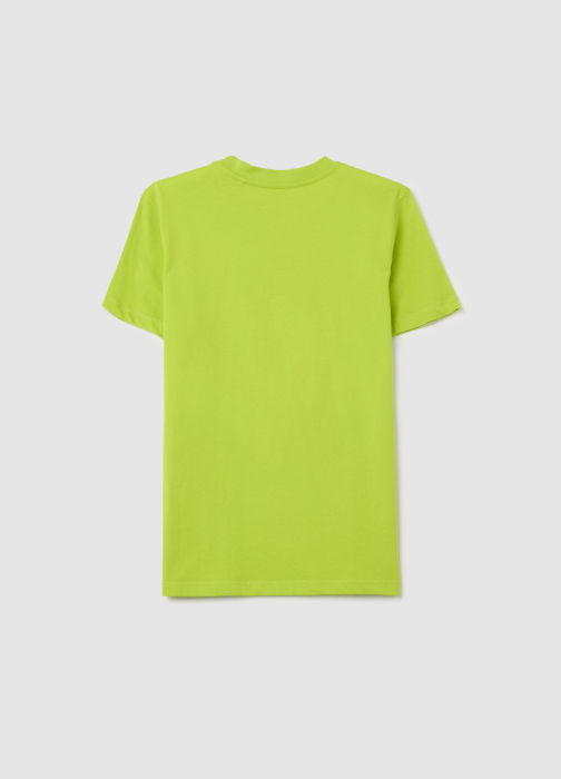 Футболка Для Мальчиков Tender Shoots 10-15 Лет [5]