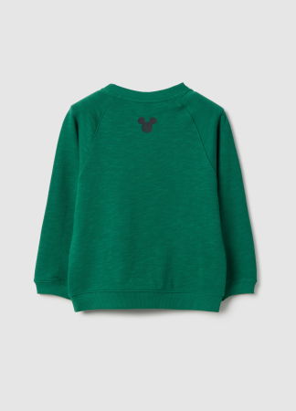 Hanorace - Bluza Verdant Green Baieti 3-10 Ani