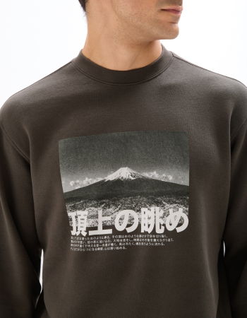 Толстовки - Celio Свитшот Carbone 