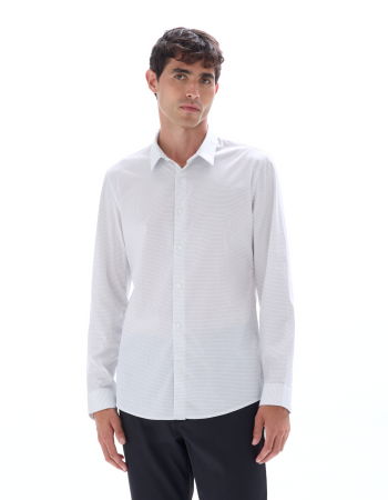 Celio Camasa Alba  Barbati [1]