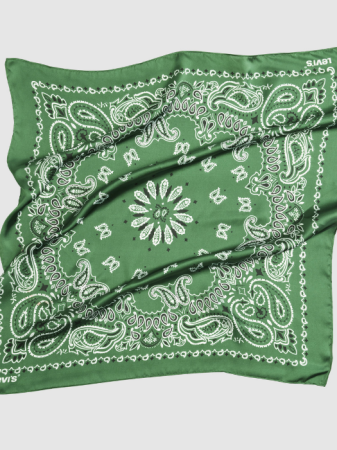 BARBATI - Levi's Esarfa Verde  Barbati