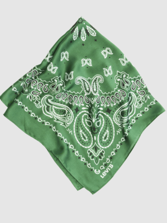 BARBATI - Levi's Esarfa Verde  Barbati