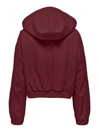 IMBRACAMINTE - Only Geaca Rosie  Femei