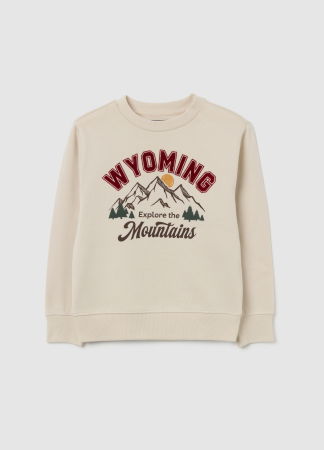 Толстовки - OVS Kids Свитшот С Флисом Для Мальчиков Бежевый 3-10 Лет