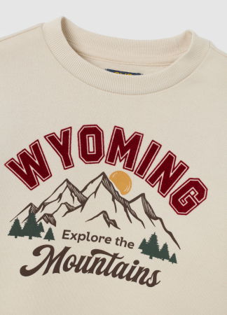 Толстовки - OVS Kids Свитшот С Флисом Для Мальчиков Бежевый 3-10 Лет